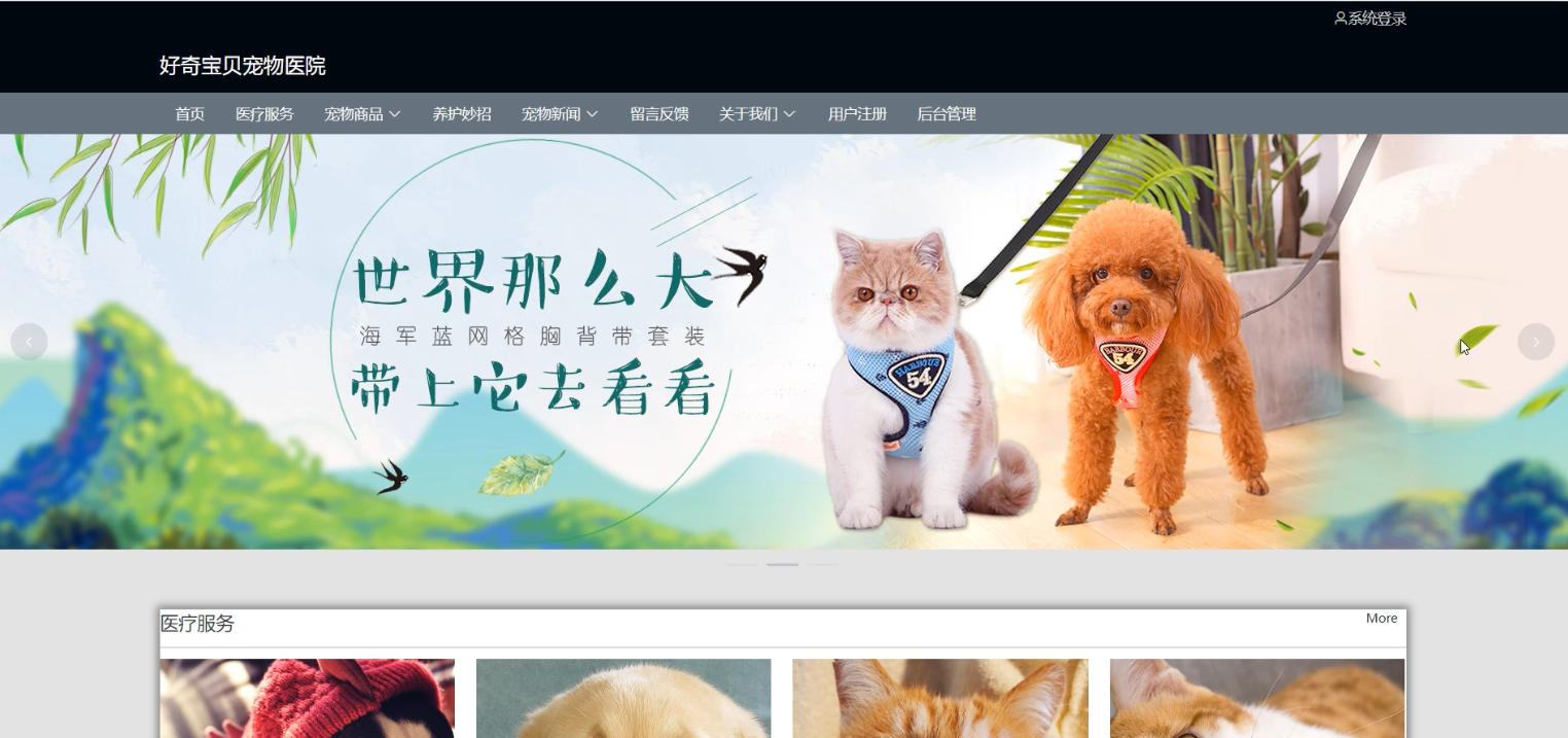 基于SpringBoot和Vue的宠物医院诊所管理系统毕业设计，附源码